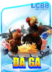 đá gà lc88 pro
