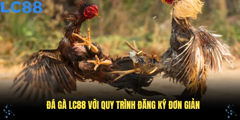Đá gà LC88 với quy trình đăng ký đơn giản chỉ trong vài phút