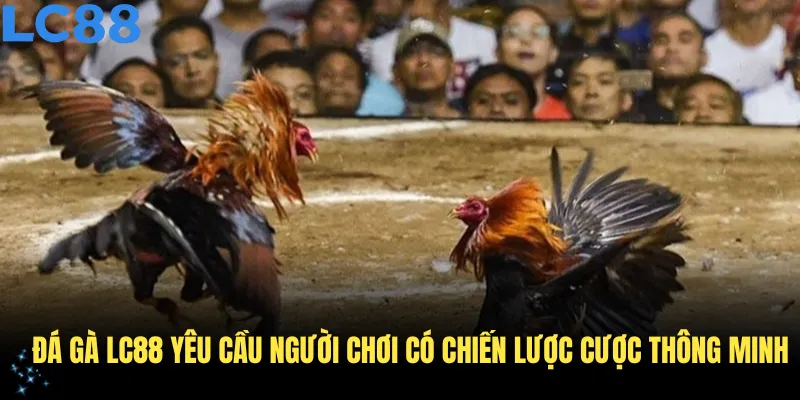 Đá gà LC88 yêu cầu người chơi có chiến lược cược thông minh để thắng lớn
